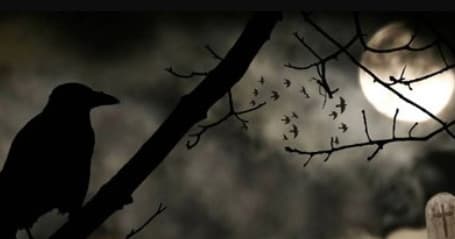 Galveston Island Ghost Tour