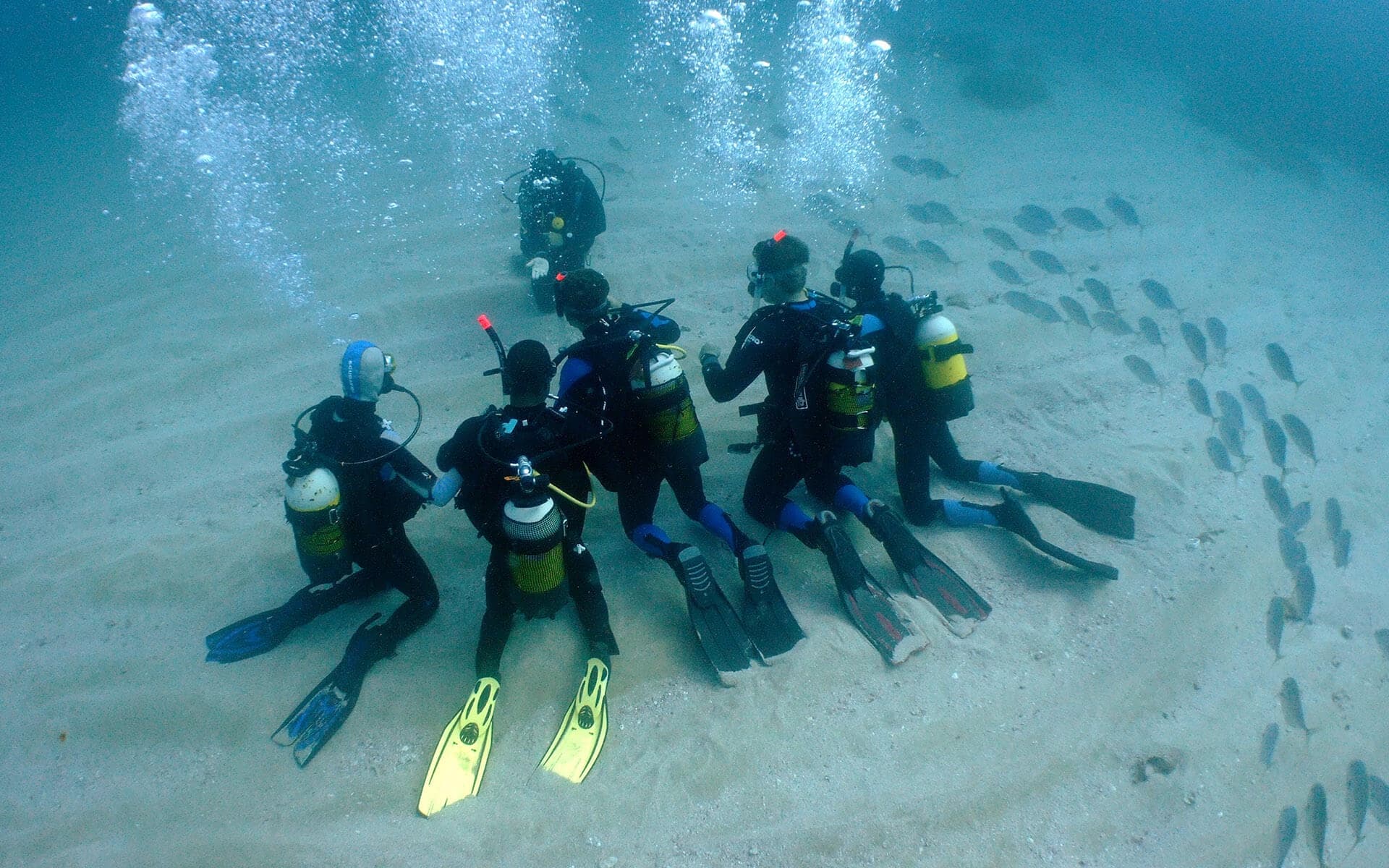 Inmersión de buceo en Calafató