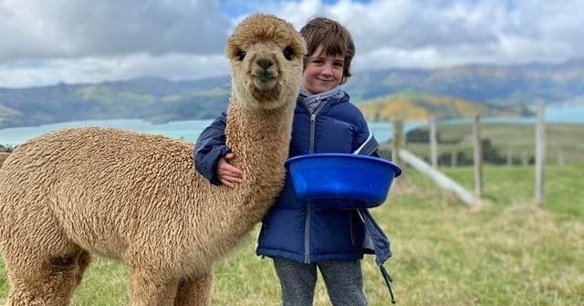 Akaroa Wildlife Family Passes