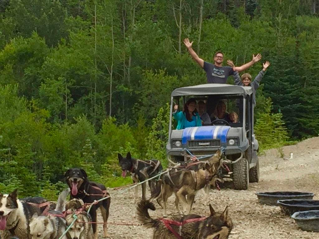 Emerald Lake + Tushi Dog mushing camp