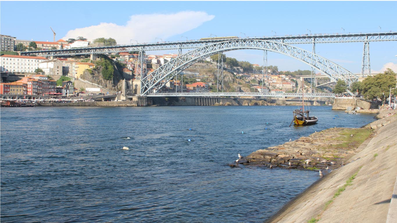 Porto Highlights (Private Walking Tour)