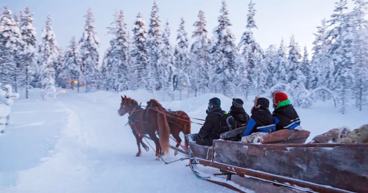 Aurora Hunting with Horse Sleigh