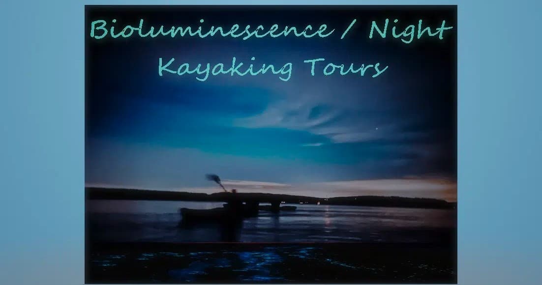 Bioluminescence / Night Kayak Tour