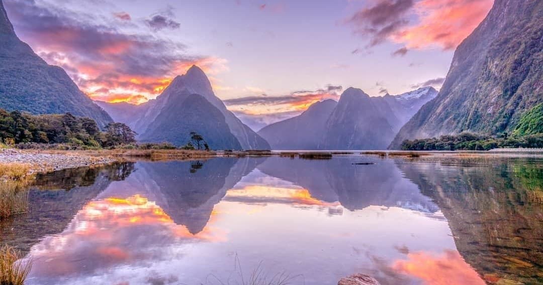 Coach Cruise Walk from Te Anau