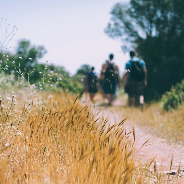 2 Hour Hiking Tour