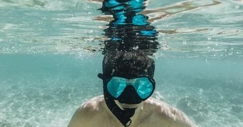 Dolphin Watch / Snorkeling / Sand Bar Trip