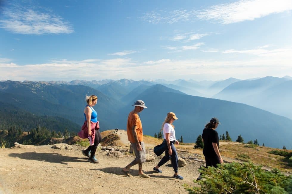 Kings Canyon Full Day Private Tour & Hike