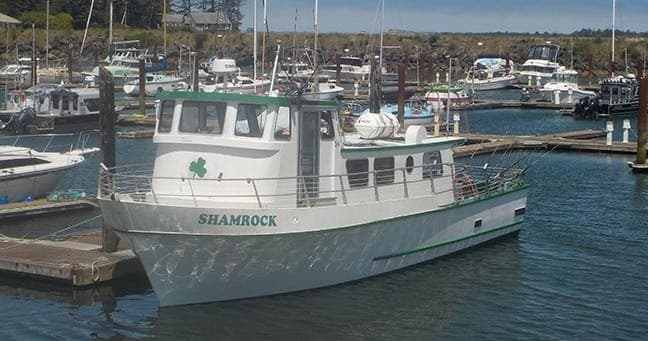 Half Day Rock Fishing trip