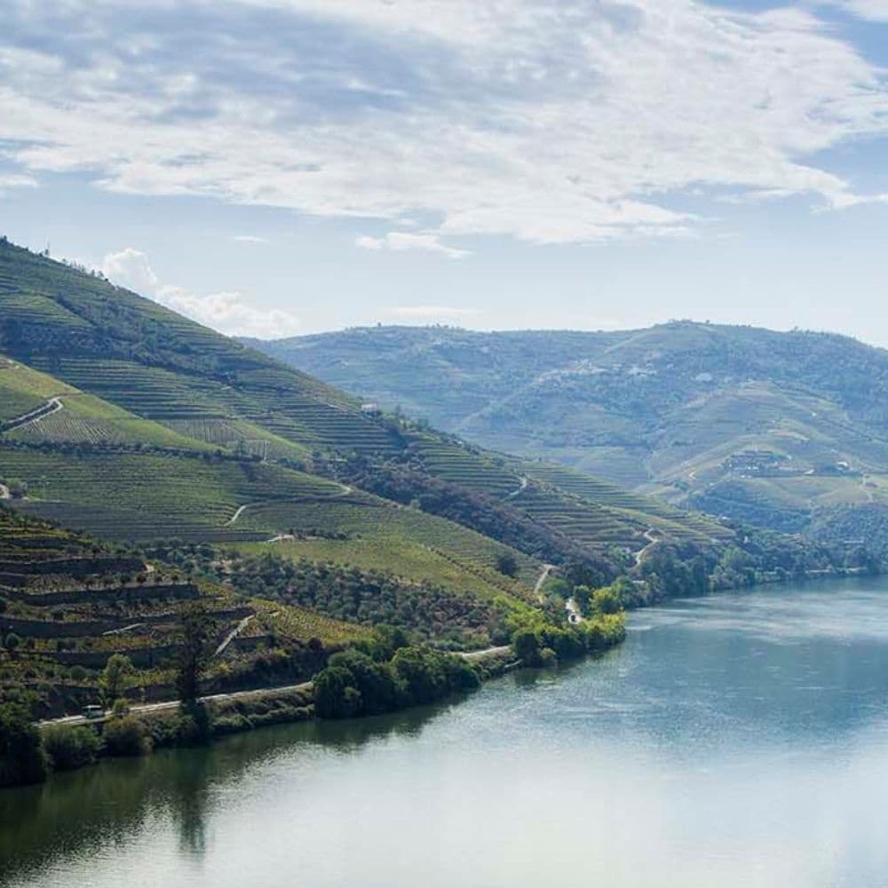 Douro from top to bottom
