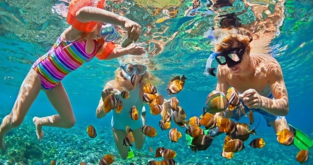 CJ Reef Snorkeling Getaway