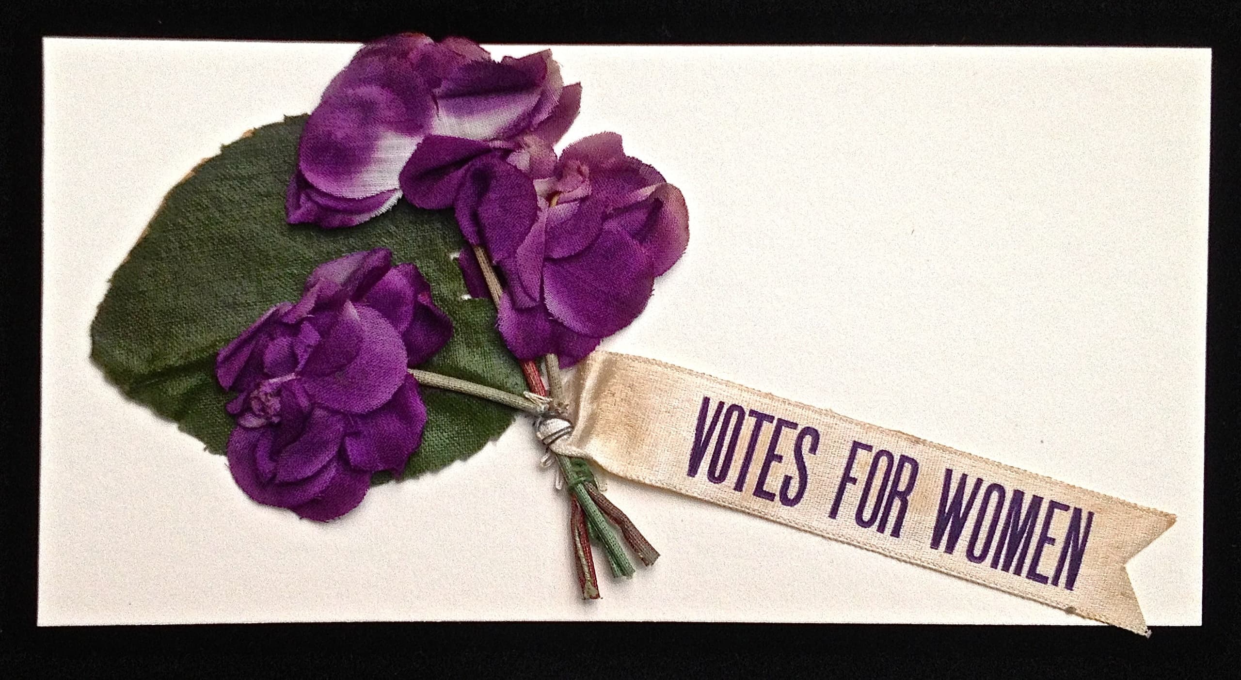 Deeds' The Women who Won the Vote. Newcastle upon Tyne