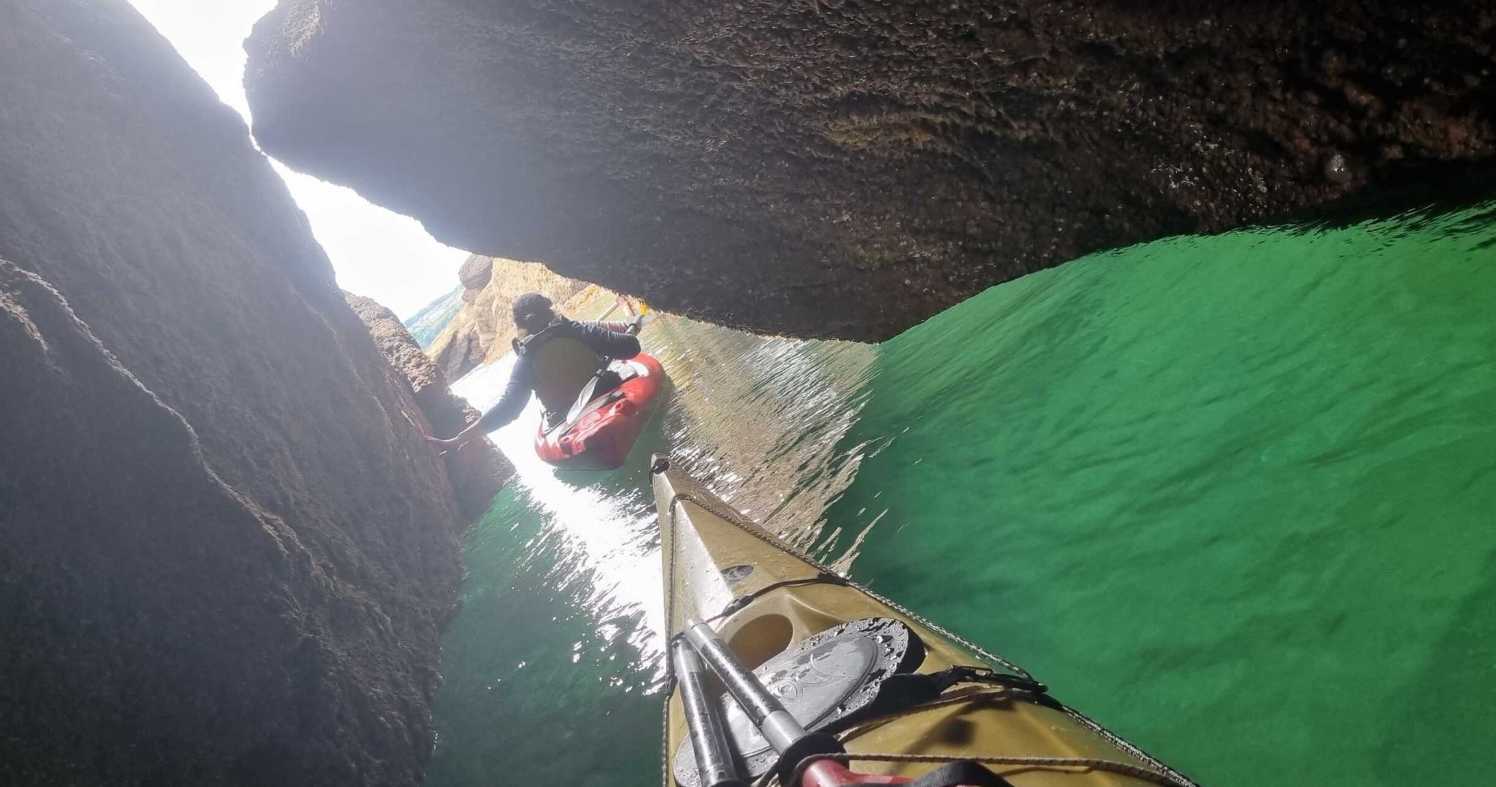 Wildlife & Sea Cave Kayak Tour