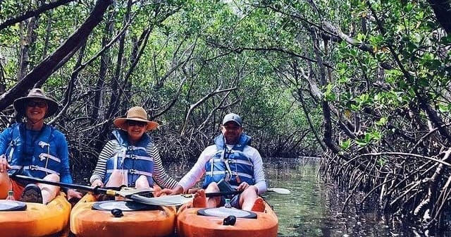 Buck Key Mangrove Kayak Tour
