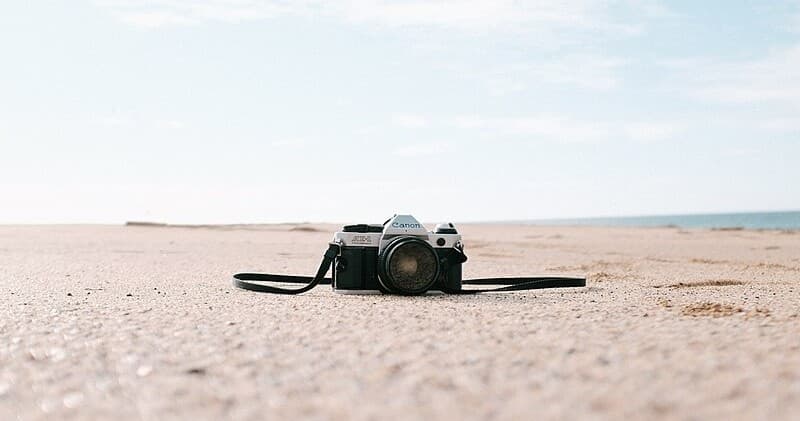 Beach Portraits