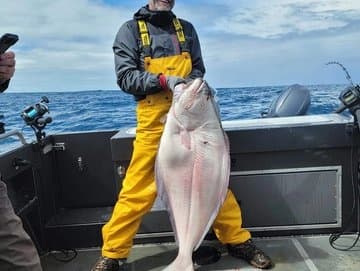 Offshore Halibut Trip