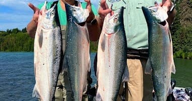 Half Day Kasilof Silver Salmon Fishing