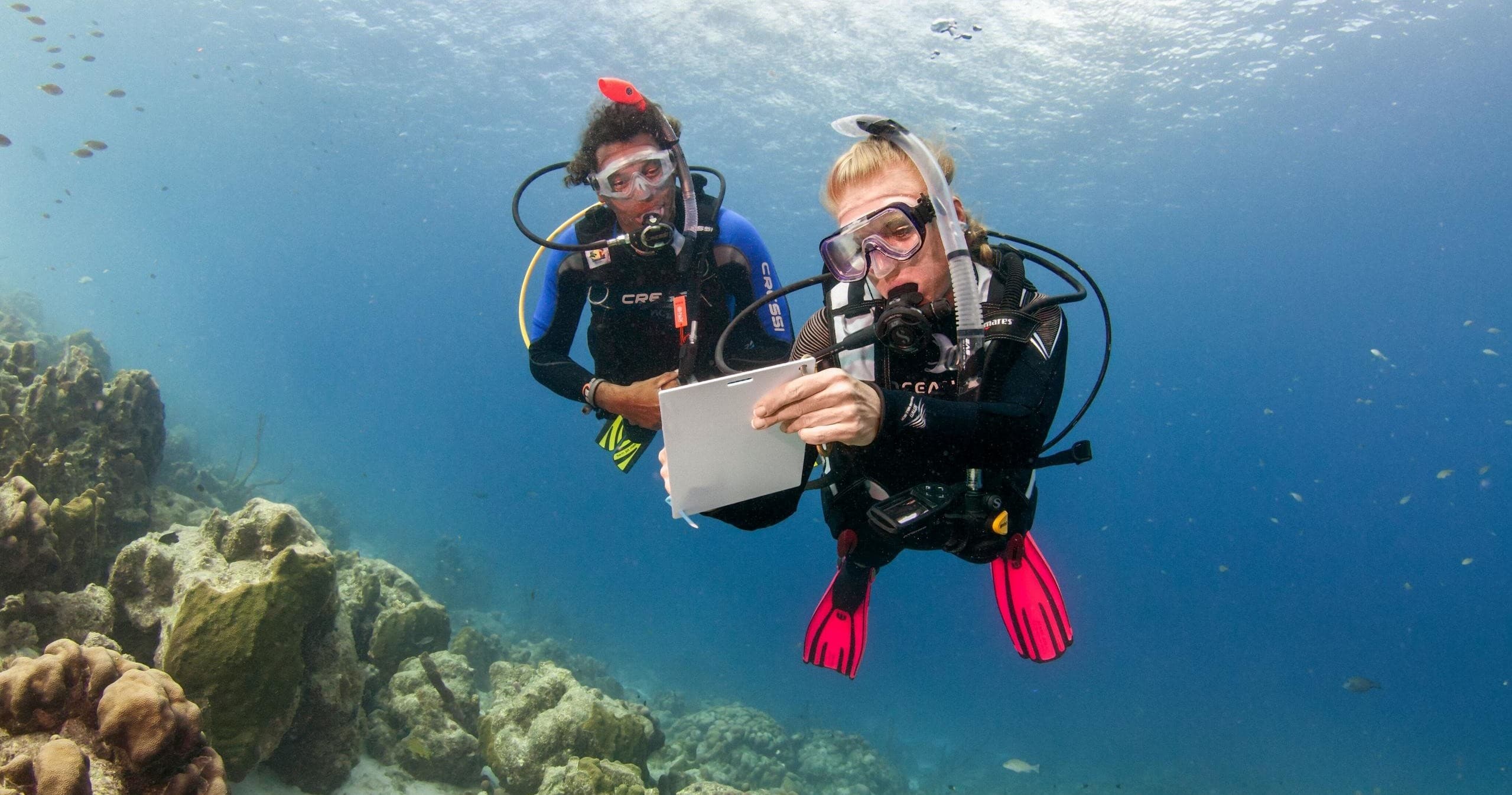 PADI Open Water Diver Course