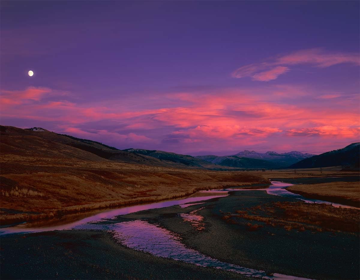 Sunset Wildlife Tour in Yellowstone Lamar Valley, and Slough Creek area