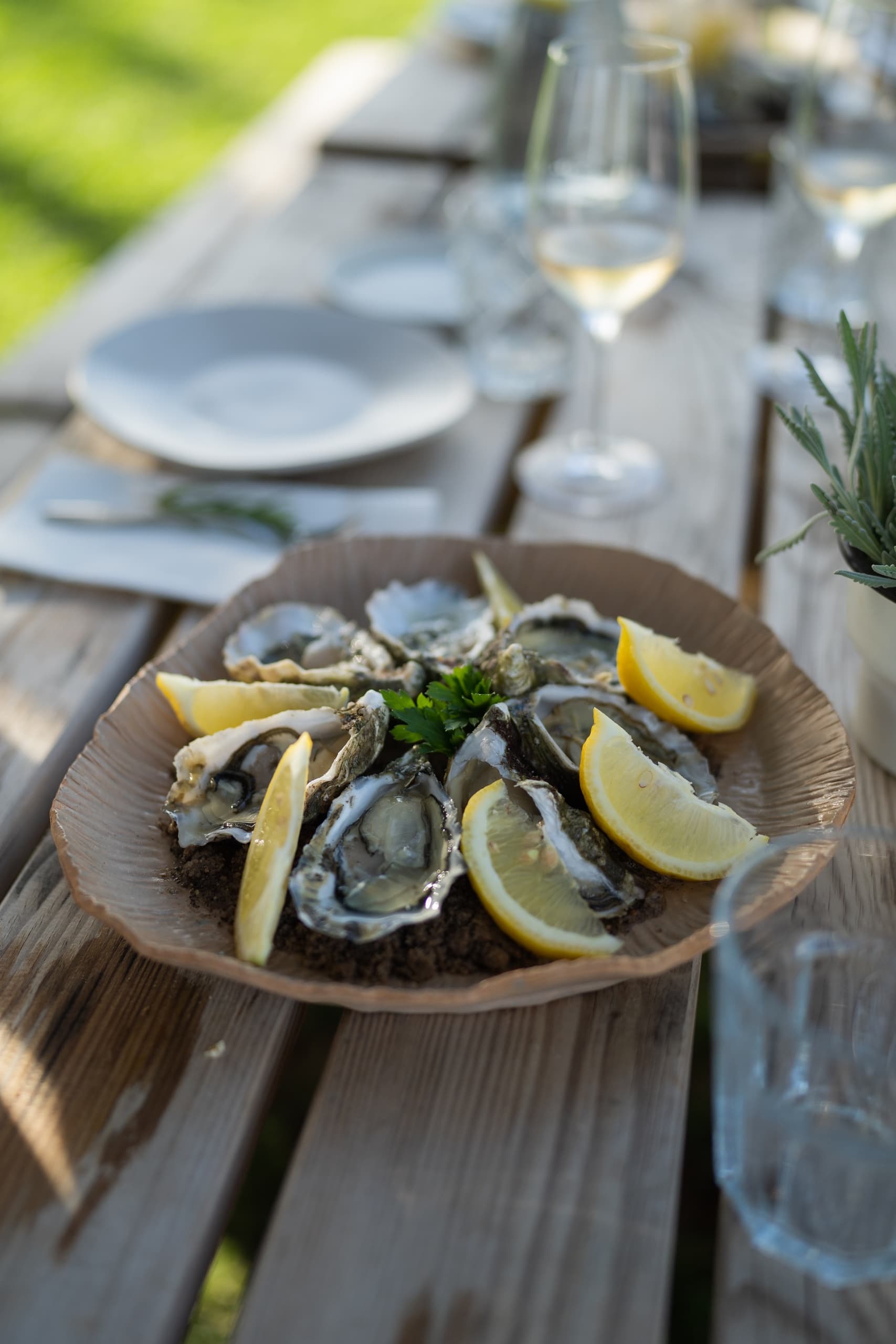A Bottle of Wine, Oysters @ Sunset