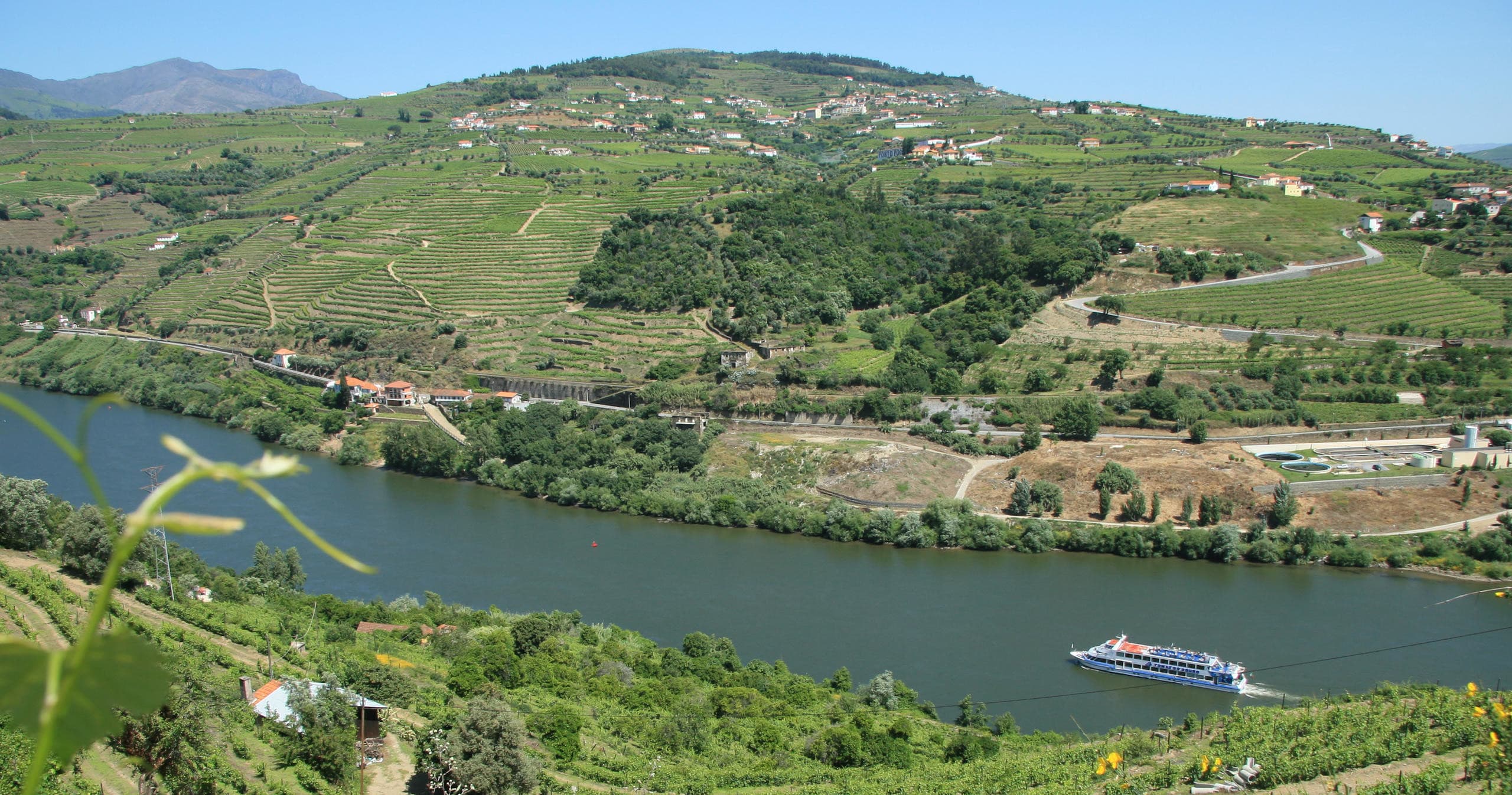 Porto/Régua/Porto (descida semana)
