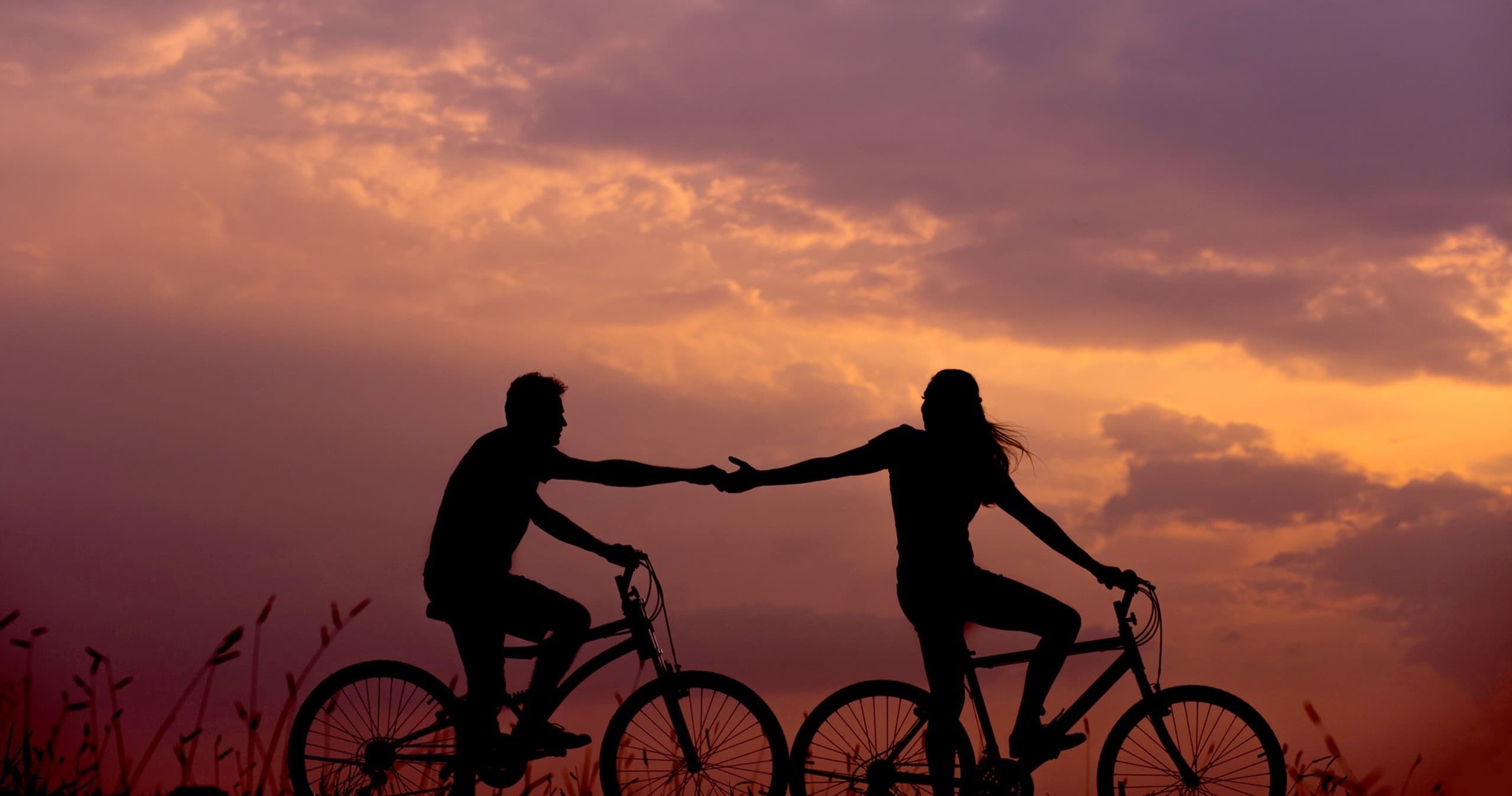 Two Hour Bike Rental