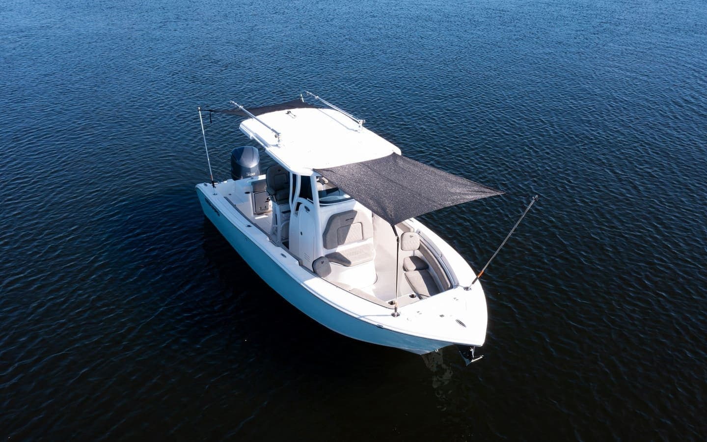 Sea Pro 239 DLX 300PS