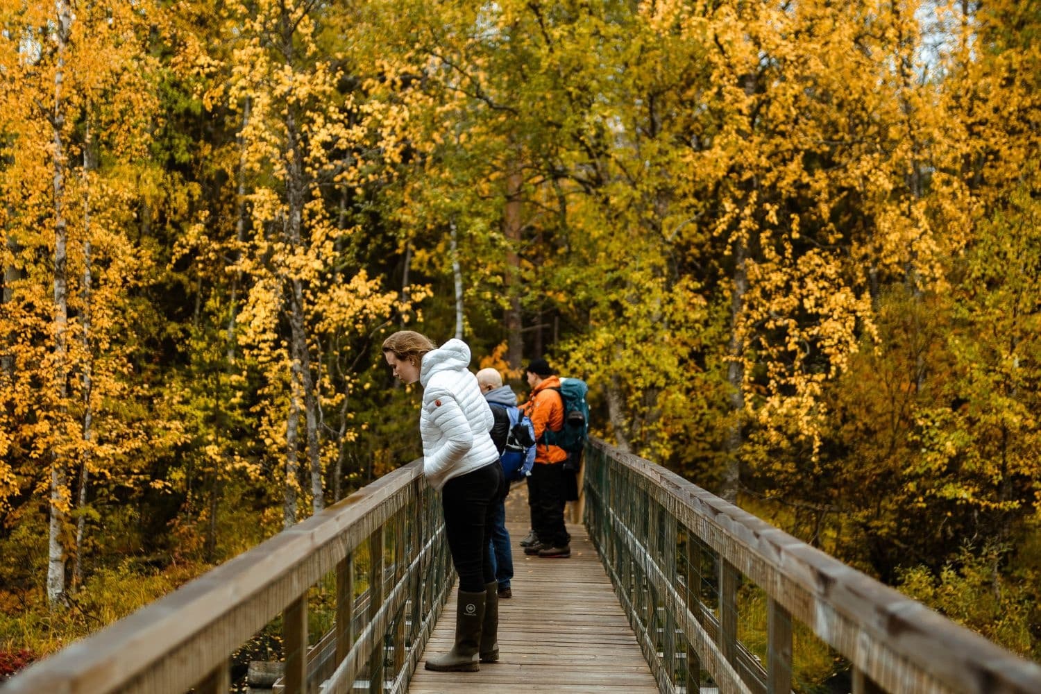 Self-Guided Trip to Arctic Circle Hiking Area