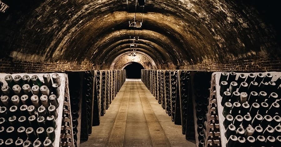 Discovery Cellars Experience