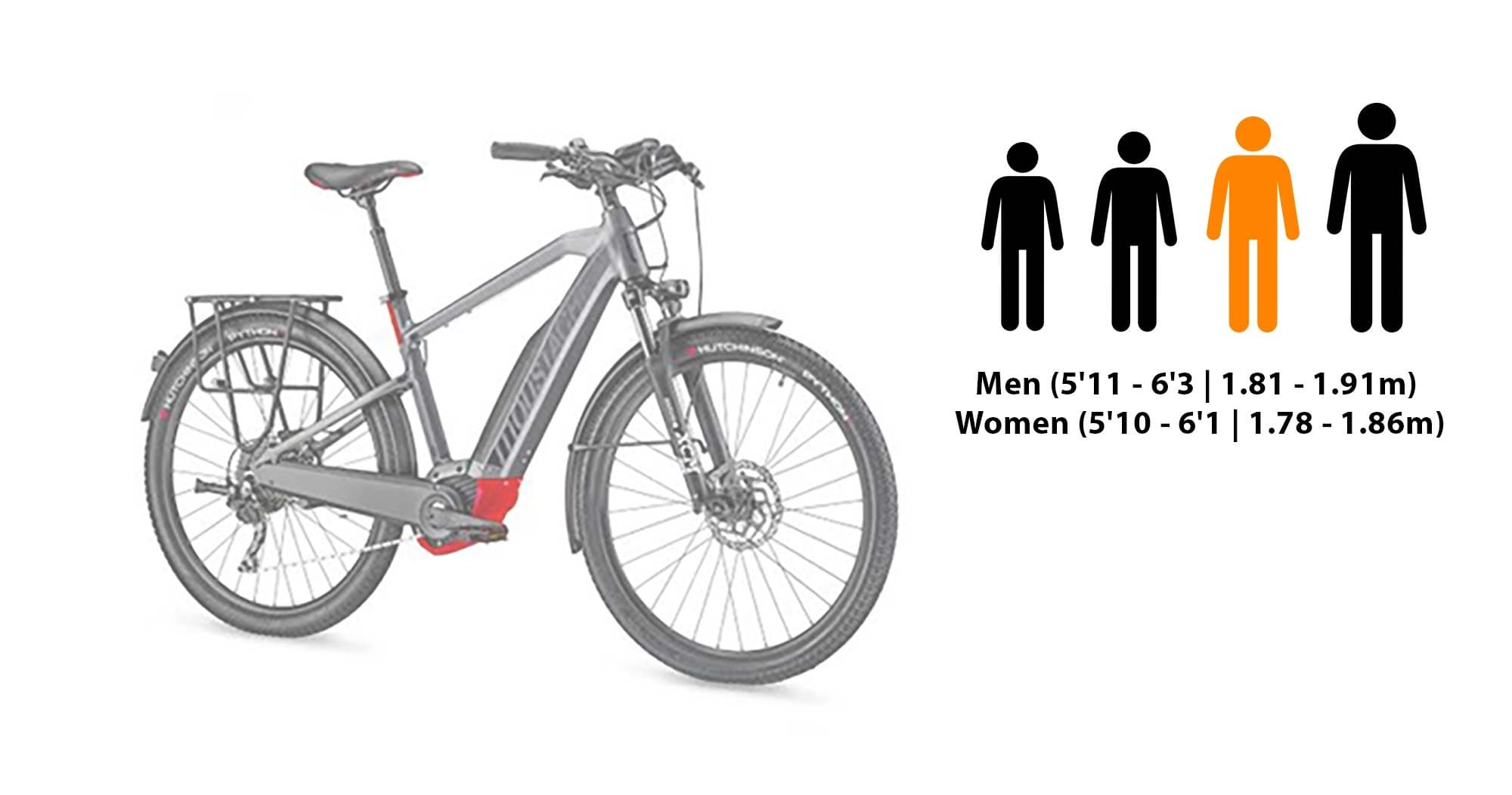Large Adult eBike