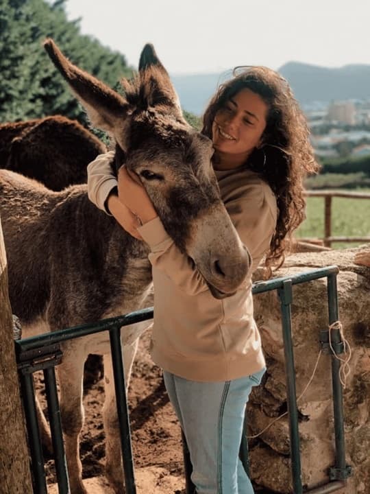 Rustic Donkey Pasture and Coffee Farm Delight
