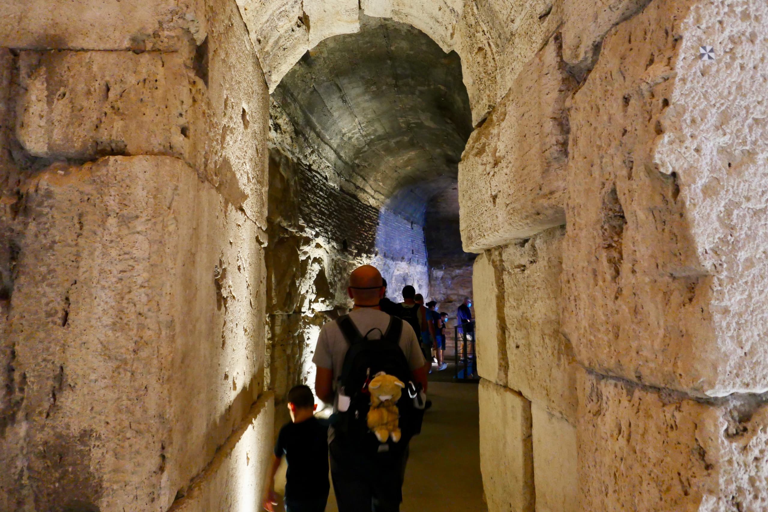 Sotterranei del Colosseo, Foro Romano e Palatino