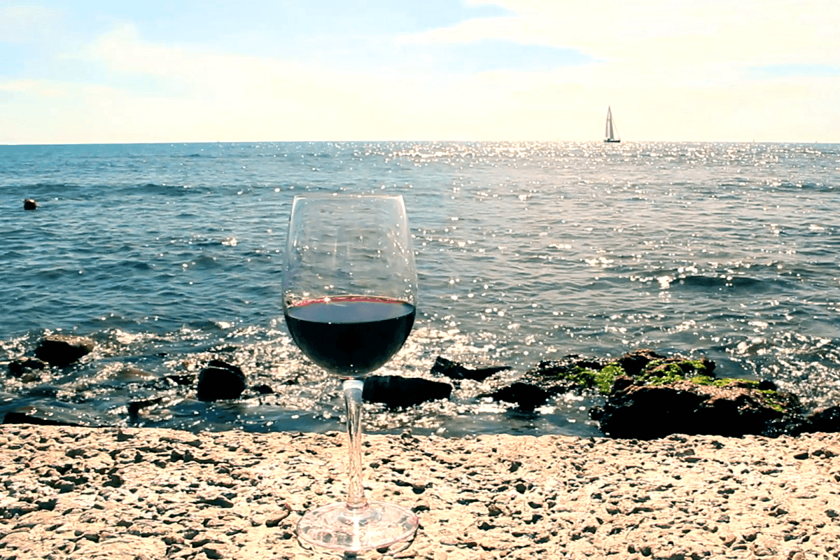 Excursión en velero + Visita a bodega y cata de vinos en Alella