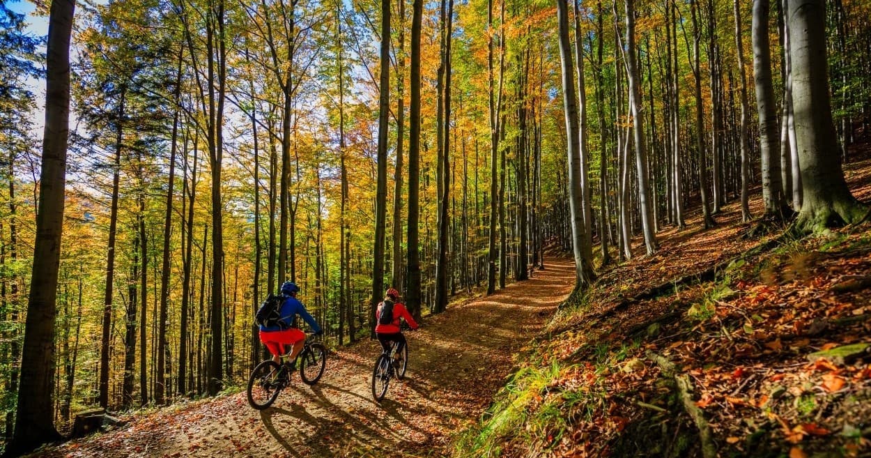 Rent a Mountain Bike