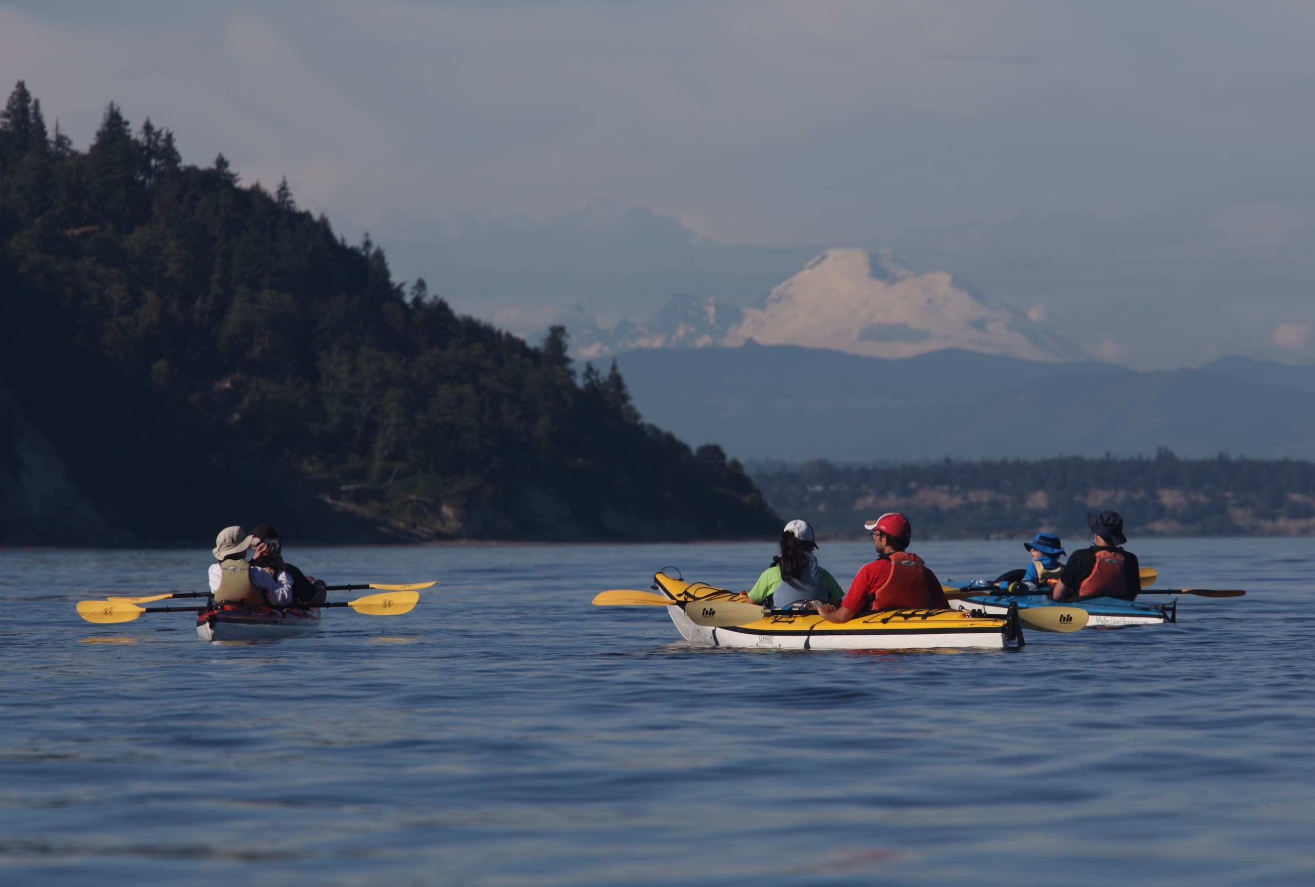 Private Kingfisher Point-To-Point Kayak Tour