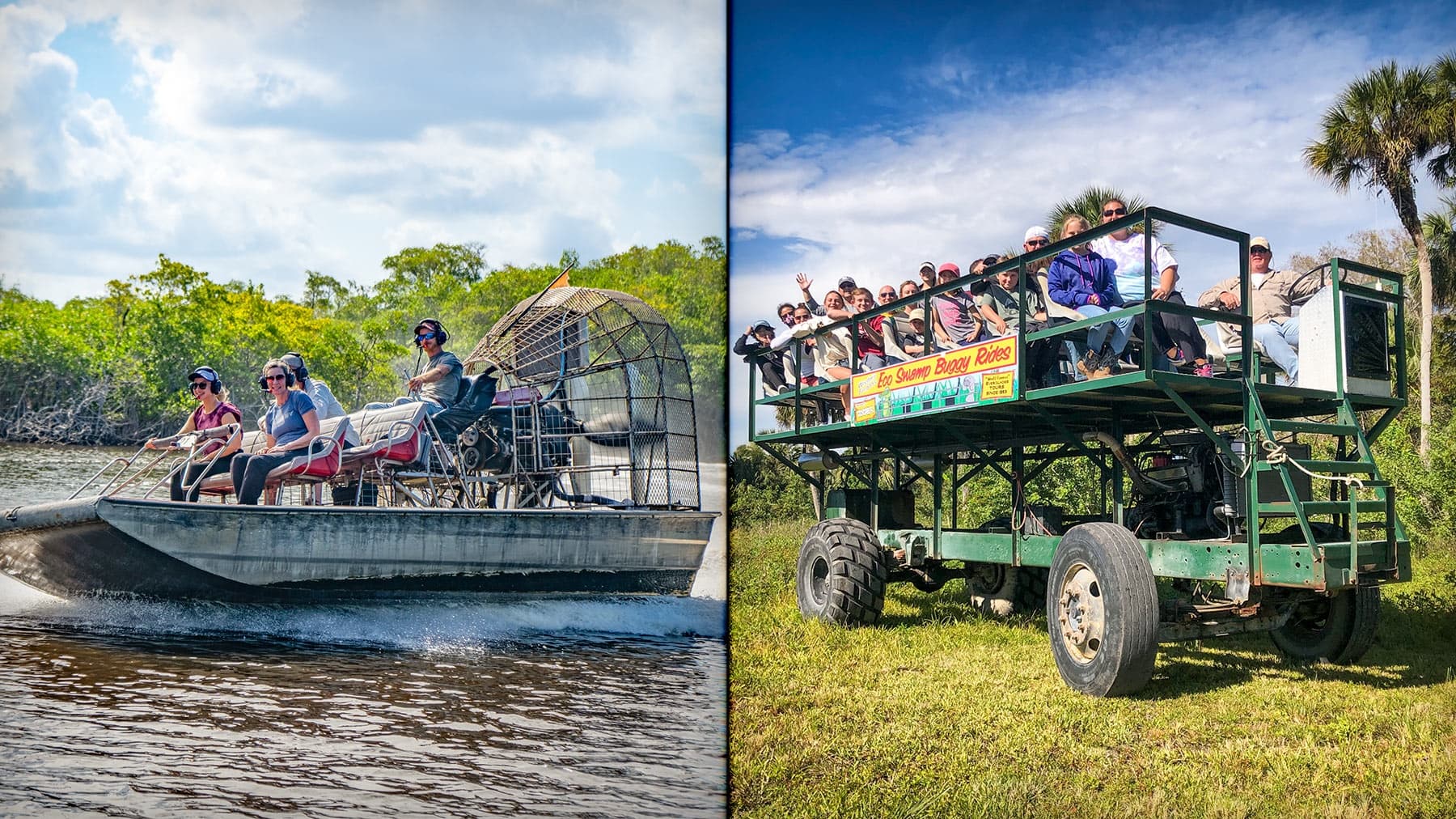 Private Mangrove Tunnel & Buggy Combo