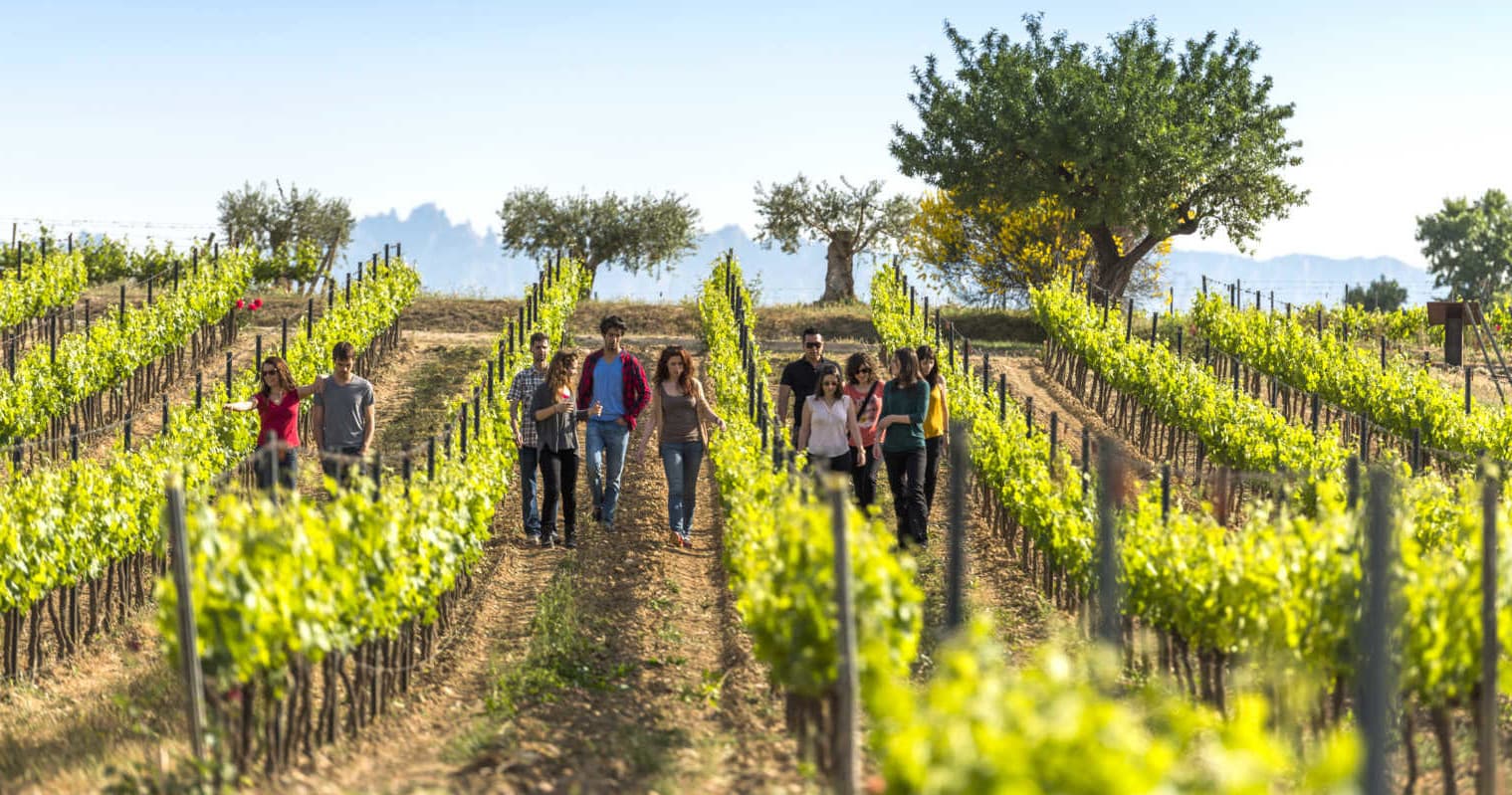 El Penedès Hike & Wines