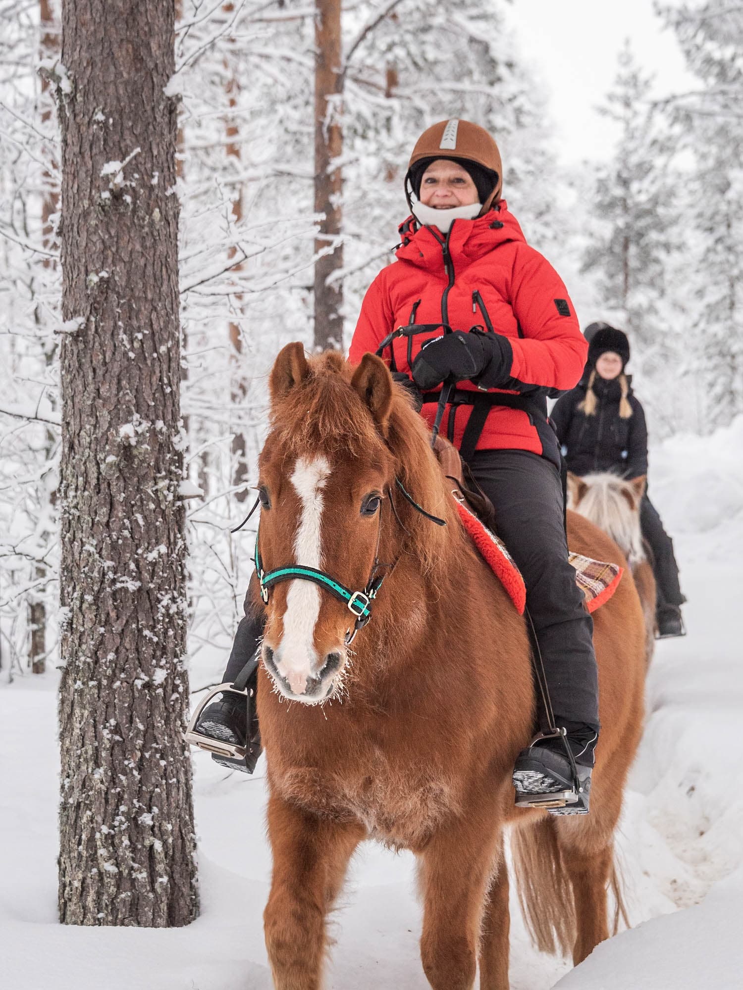 Evening trail ride with horses
