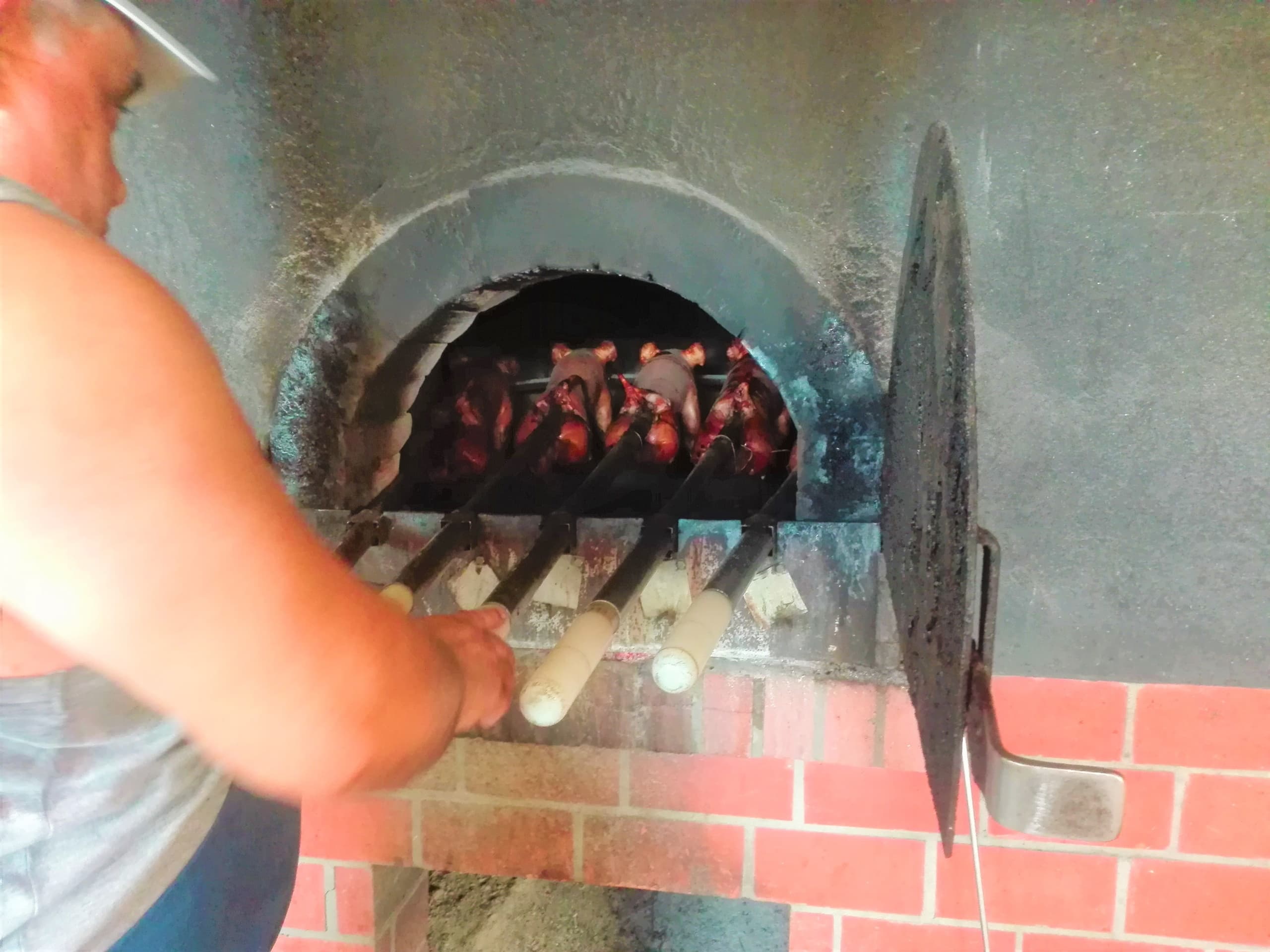 Bairrada Winery Route, full-day from Coimbra