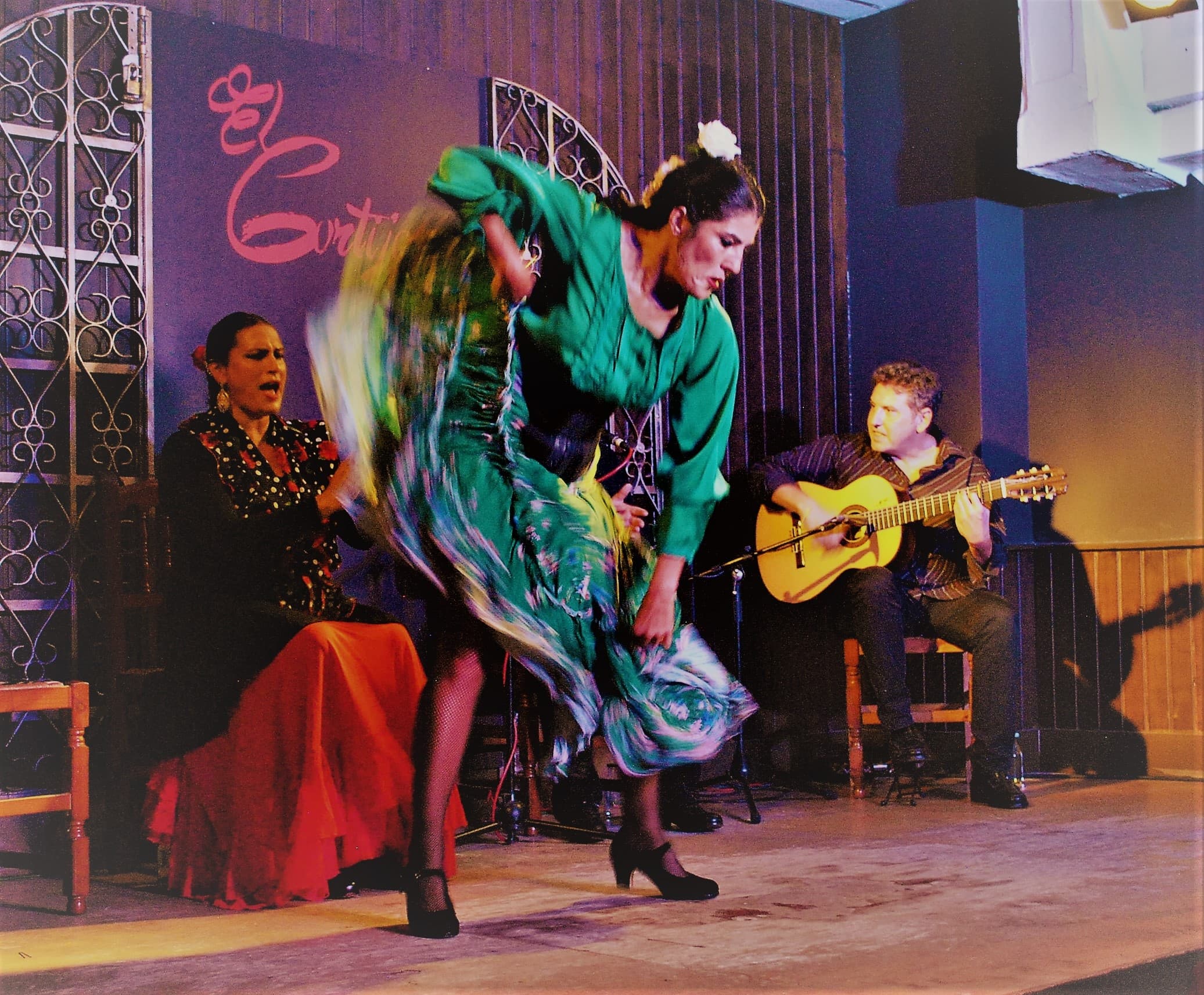 Espectáculo de Flamenco