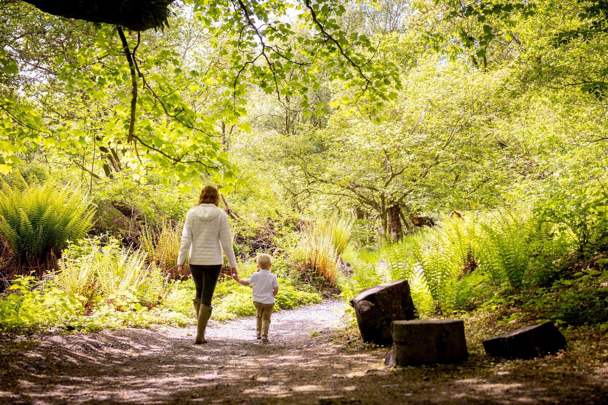 Loch Lomond Nature Trail