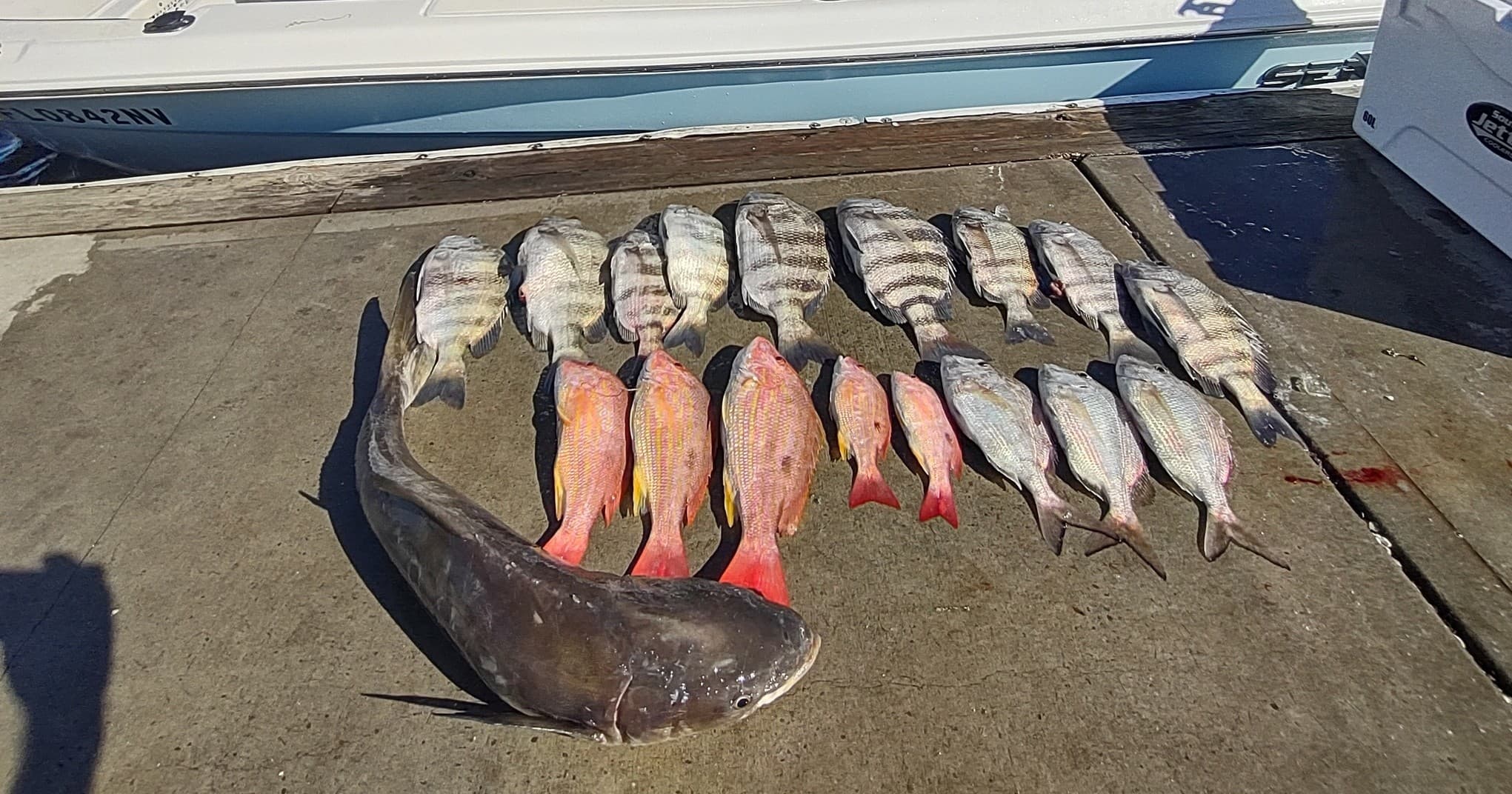 OFFSHORE Fishing Charters