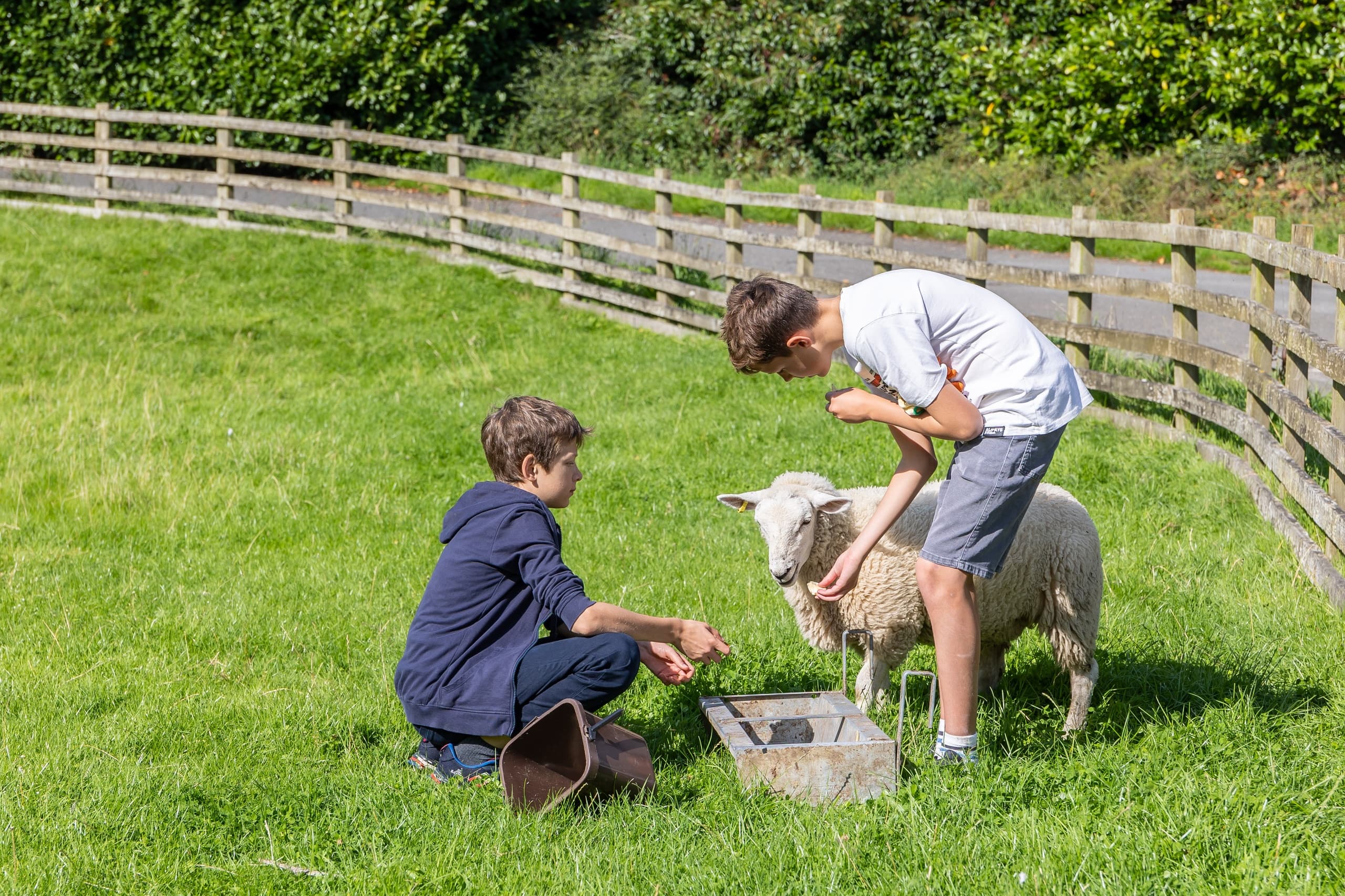 Farm Tour
