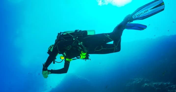 AWARE Shark Conservation Specialty (2 Dives)
