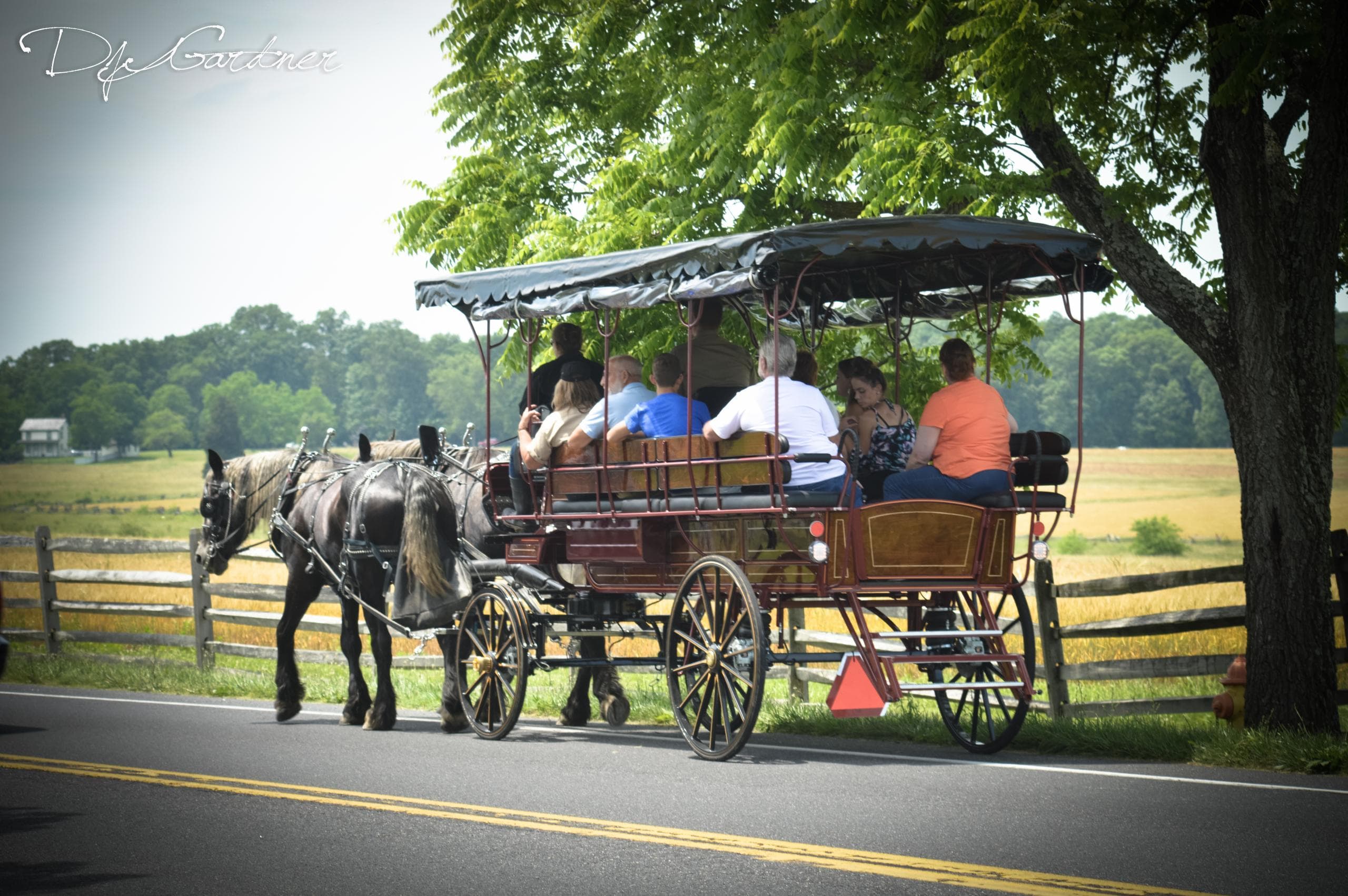 Battlefield South (2 Hour Licensed Battlefield Guided Carriage Tour)