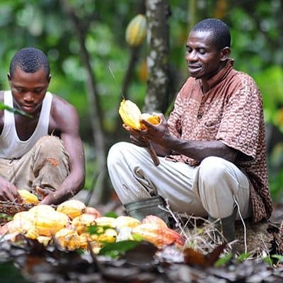 Farms, Forests & Falls A Journey Through Ghana's  Eastern Region
