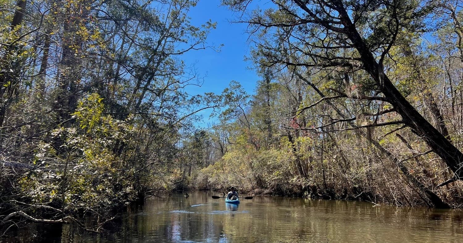 Yellow River Swamp Tour