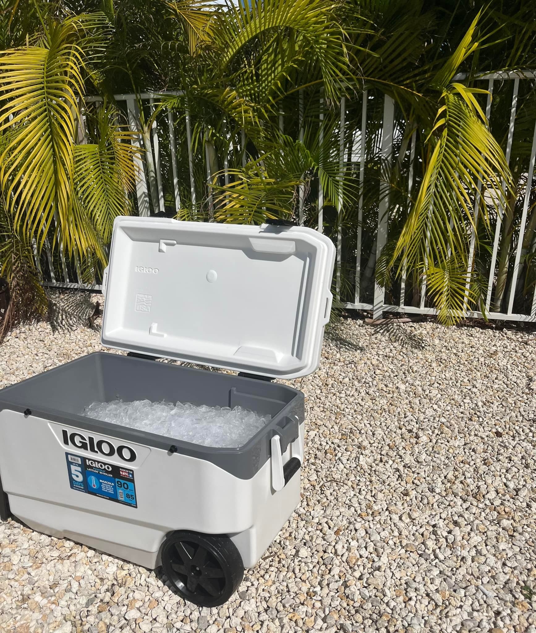 Cooler Rental