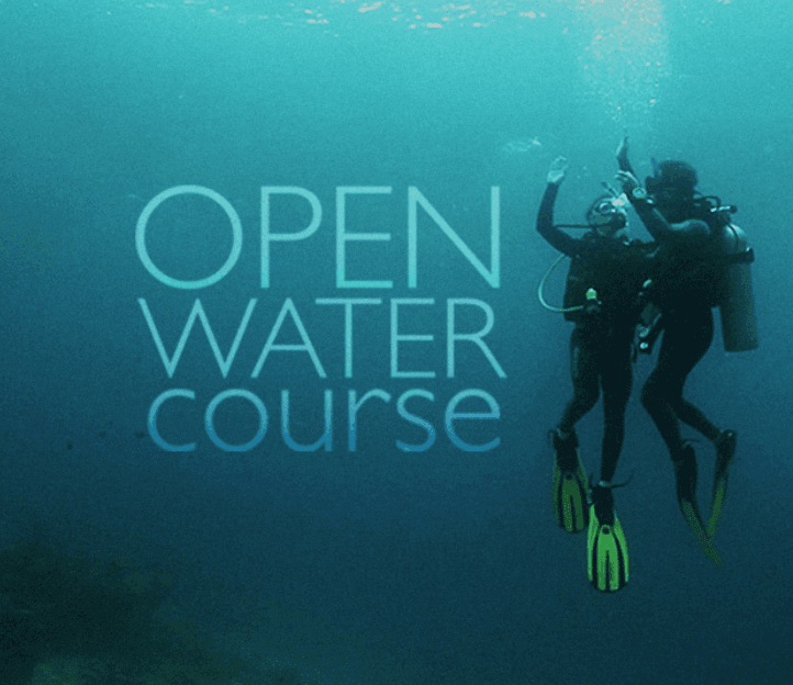 Private Open Water Diver Training - Bamboo Reef San Francisco