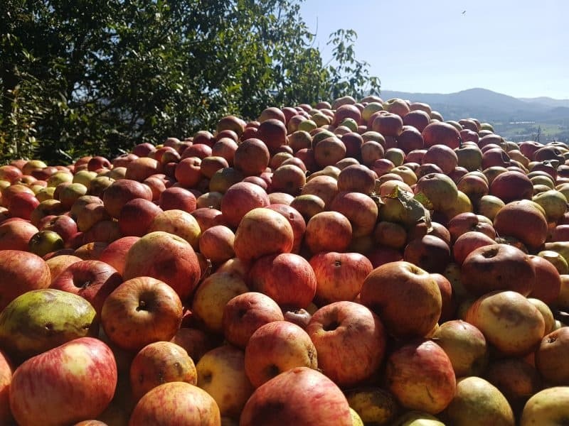 Flavours of the Basque Countryside Tour