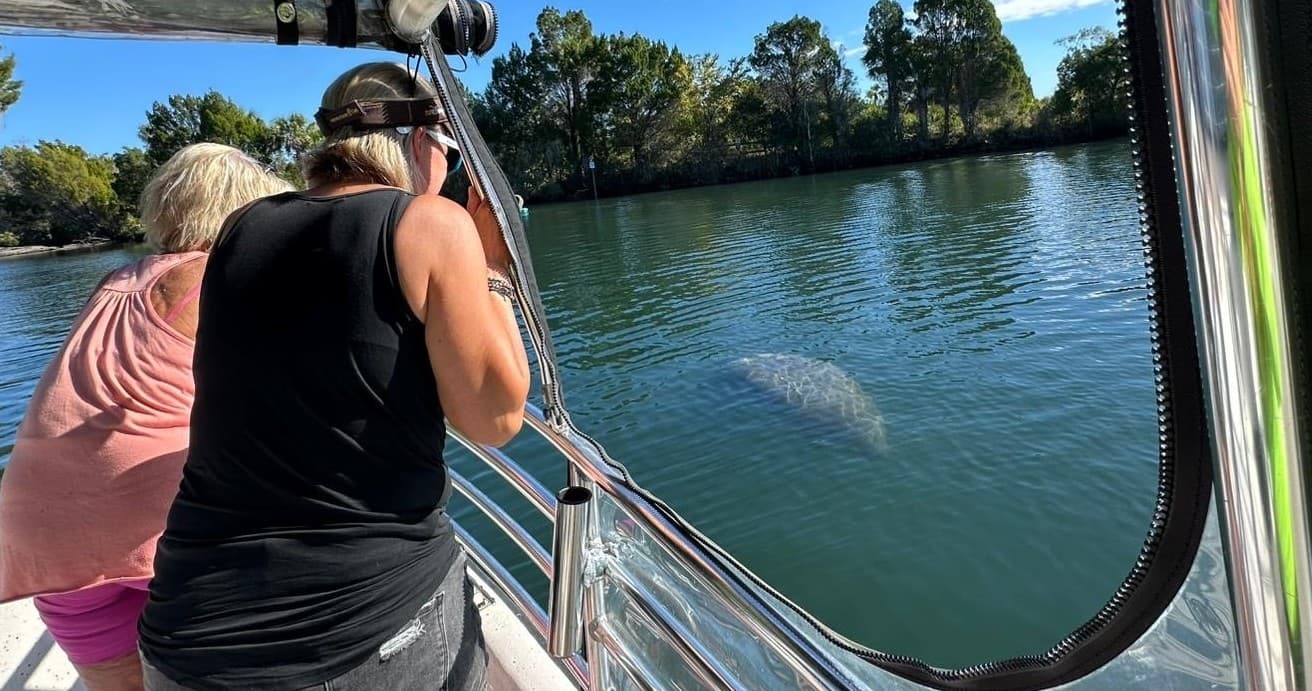 Afternoon Private Manatee Viewing Cruise - Small Group